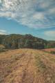 1634 Dixon Branch Rd - Photo 73