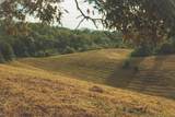 1634 Dixon Branch Rd - Photo 80