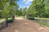 7507 Ivorybill Ln - Photo 3
