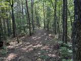 204 Hughes Hollow Rd - Photo 8
