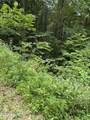 0 Butternut Lane - Photo 4