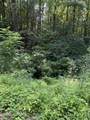 0 Butternut Lane - Photo 6
