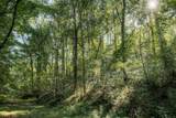 5051 Jones Valley Rd - Photo 19