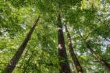 5051 Jones Valley Rd - Photo 30