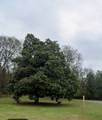 0 Old Hickory Blvd - Photo 1