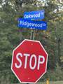 260 Oakwood Trail - Photo 4
