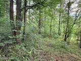 0 Old Chilhowee Rd - Photo 22
