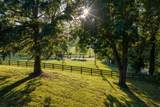 8005 Dry Creek Rd - Photo 31