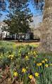 175 Dry Weakley Rd - Photo 43
