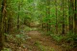 965 Flag Springs Rd - Photo 4