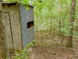 965 Flag Springs Rd - Photo 36