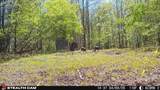 965 Flag Springs Rd - Photo 37