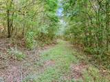 965 Flag Springs Rd - Photo 41
