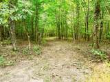 965 Flag Springs Rd - Photo 52