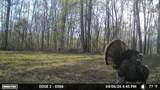 965 Flag Springs Rd - Photo 10