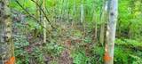 0 Ginseng Way - Photo 6
