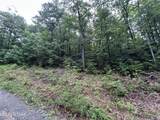 0 Black Oak Drive - Photo 1