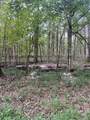 488 Lower Halls Mill Rd - Photo 17
