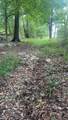 488 Lower Halls Mill Rd - Photo 6