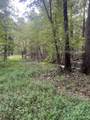 488 Lower Halls Mill Rd - Photo 7