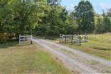 4277 Delina Rd - Photo 55