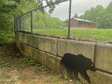2240 Mt Pleasant Rd - Photo 41