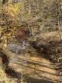 2168 Fairview Rd - Photo 51