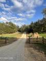 2168 Fairview Rd - Photo 52