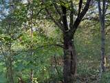 0 County Road 675 - Photo 1