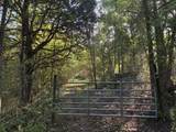 0 County Road 675 - Photo 2