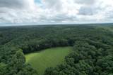 6 N Lick Creek Rd - Photo 5