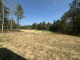 3145 Highway 231 - Photo 30