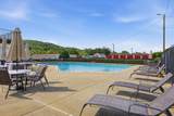 900 Mountain Creek Road - Photo 20