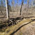 0 Lick Creek Rd - Photo 11
