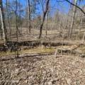 0 Lick Creek Rd - Photo 12