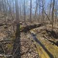 0 Lick Creek Rd - Photo 13