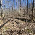 0 Lick Creek Rd - Photo 17
