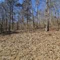 0 Lick Creek Rd - Photo 19