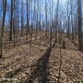 0 Lick Creek Rd - Photo 4