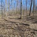 0 Lick Creek Rd - Photo 5