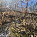 0 Lick Creek Rd - Photo 6
