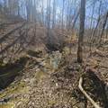 0 Lick Creek Rd - Photo 8