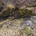 0 Lick Creek Rd - Photo 9