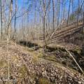 0 Lick Creek Rd - Photo 10