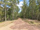 0 Wades Branch Road - Photo 13