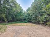 0 Wades Branch Road - Photo 10