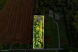 310 Carter Ln - Photo 26