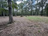 0 Swift Ln - Photo 6