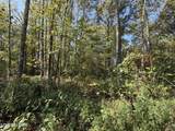 2235 Moore Knob Rd - Photo 5
