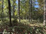 2235 Moore Knob Rd - Photo 6